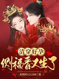 清穿好孕:侧福晋又生了